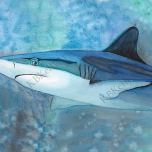 Shark Watercolor Art Print Shark Wall Art Sea Life Nursery Animals Artwork Ocean Beach House Wall Art Marine Biology Shark Gifts Home Decor