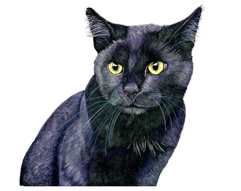 Black Cat Watercolor Art Print Black Cat Painting Black Cat Wall Art Decor Black Cat Gift Black Cat Pet Portrait Cat Memorial Pet Loss Gift.