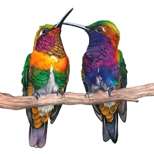 Hummingbird Watercolor Art Print Two Hummingbirds on Branch Hummingbird Painting Wall Art Decor Original Artwork Hummingbird Couple Bird Art