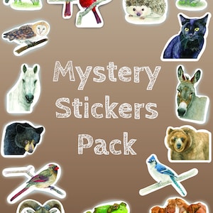 Mystery Sticker Pack. Mystery Grab Bag with Random Stickers. Random Animal Sticker Packs. Vinyl Stickers. Watercolor Animal Stickers.