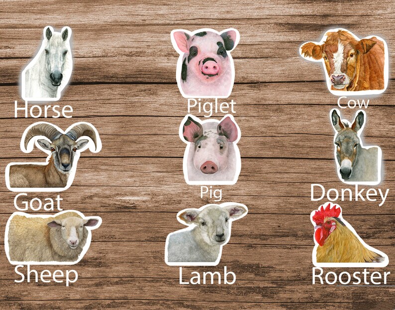 Donkey Sticker Watercolor. Laminated Die Cut Sticker. Water Resistant ...