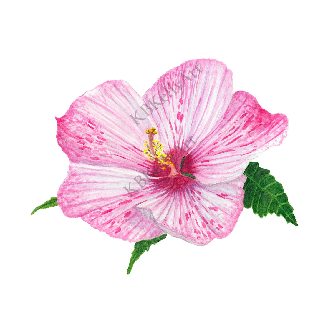 HAWAIIN HIBISCUS PRINT TANK