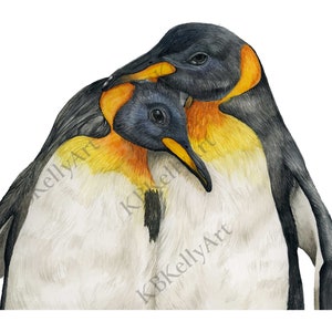Pair of Penguins Watercolor Art Print, Penguin Couple Art, Penguin Gift, Penguin Wall Art, Penguin Decor, Cute Animals, Anniversary Gift