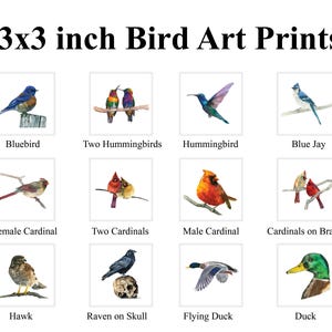 May include: A set of 12 3x3 inch bird art prints featuring various bird species, including a bluebird, hummingbirds, a blue jay, cardinals, a hawk, a raven on a skull, a flying duck, and a duck. The prints are watercolor illustrations.