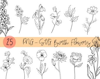 Birth Month Flowers Svg, Wildflowers PNG Bundle, Birthday Flower, Botanical Clipart, Floral Svg ,Daisy svg ,Rose svg, Poppy svg
