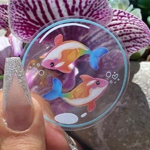 Funfetti Orca