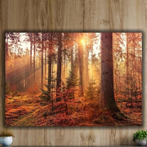 Wunderschöner Herbstwald Sonnenlicht Kunst Leinwanddruck, Herbstwald Wand Kunst Poster, Landschaft Leinwand Kunst, Wohnzimmer Wand Dekoration