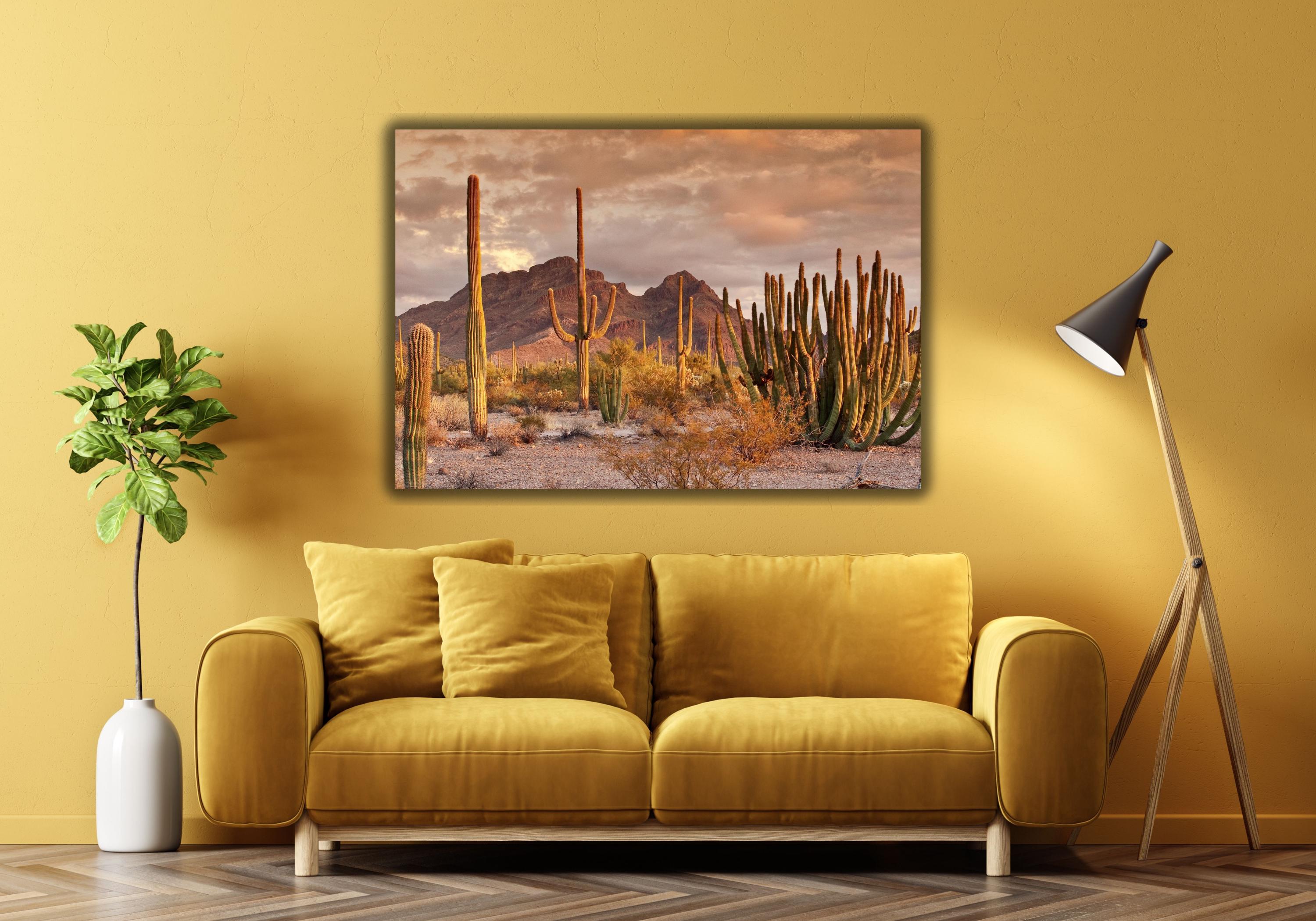 CCWACPP Stampa artistica da parete su tela con cactus messicano, 3 pezzi, stampa artistica con piante grasse, pittura per la casa (incorniciata