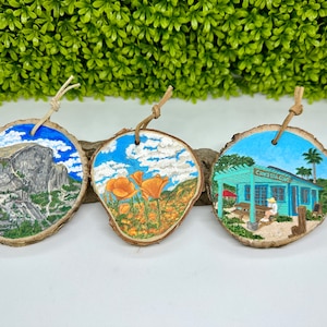 Beautiful Paintings on Wood | Unique Home Decor Paintings | Mini Poppy Flower Painting | California Souvenirs | Yosemite Painting