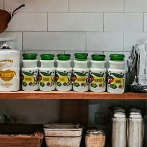 Ensemble de 6 pots à épices vintage en verre de lait