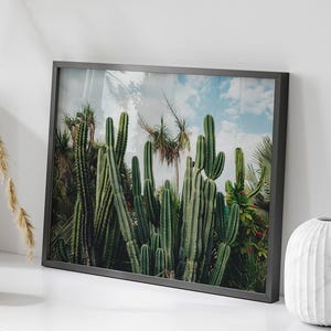 Kaktus Fotografie Kalifornien Natur Kaktus Wandkunst San Diego Wüste Kaktus Dekor Cali Print Tropische Wandkunst dunkelgrünes Foto gerahmt Kunst