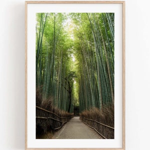 Bambushain Arashiyama, Japanischer Wald, Rahmen Großes Zen, Kyoto Poster, Japan Natur, Fine Art Fotografie, Greenery Fotografie