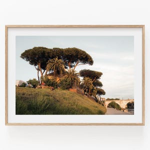 Rome Photography, Large Italy Print, Italy Travel Photo, Tiber River Rome Artwork, Italy Botanical Art, Greenery Picture, Italian Wall Art