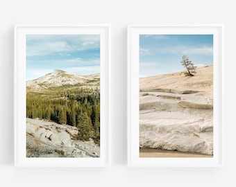 May include: Two vertical framed wall art prints. The left print shows a mountain peak above a dense green pine forest and rocky foreground. The right print features a single small tree growing on a large, smooth, light-colored granite rock formation.