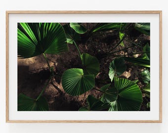 Dark Green Wall Art Botanical Photography Nature Inspired Wall Art Emerald Green Photo Nature Plant Fine Art Print Forest Green Photo