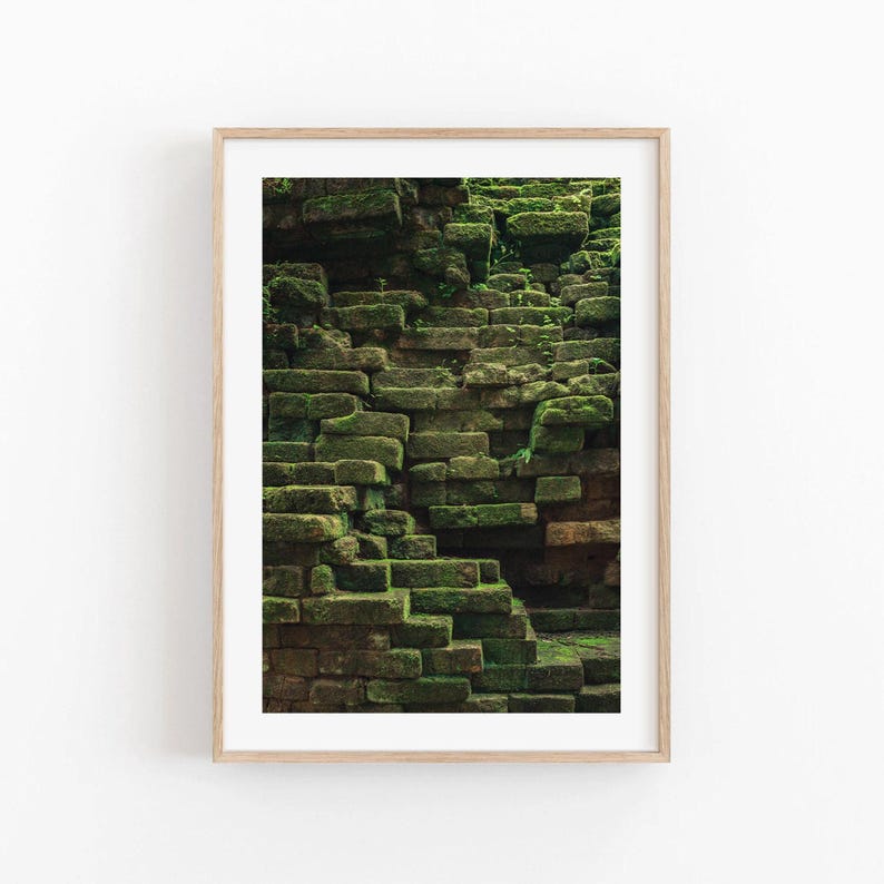 Nature Inspired Wall Art Cambodia Photography Dark Green Cambodia Print Earthy Wall Art Temple Moss Print Fine Art Photography image 1