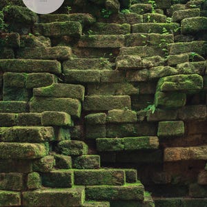 Nature Inspired Wall Art Cambodia Photography Dark Green Cambodia Print Earthy Wall Art Temple Moss Print Fine Art Photography image 4