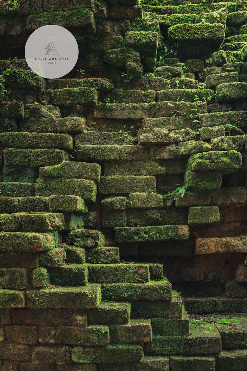 Nature Inspired Wall Art Cambodia Photography Dark Green Cambodia Print Earthy Wall Art Temple Moss Print Fine Art Photography image 4