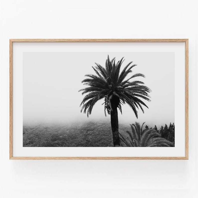 Black and White Palm Tree Photography Wall Art, Minimalist Tropical ...
