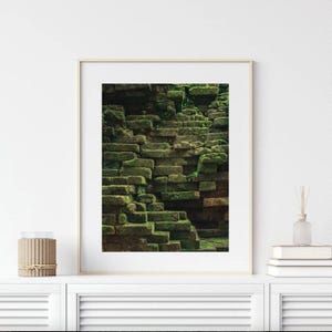 Nature Inspired Wall Art Cambodia Photography Dark Green Cambodia Print Earthy Wall Art Temple Moss Print Fine Art Photography image 2