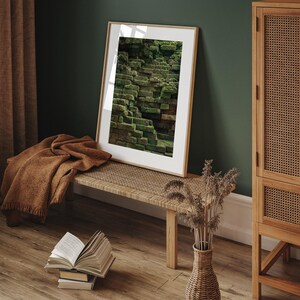 Nature Inspired Wall Art Cambodia Photography Dark Green Cambodia Print Earthy Wall Art Temple Moss Print Fine Art Photography image 3
