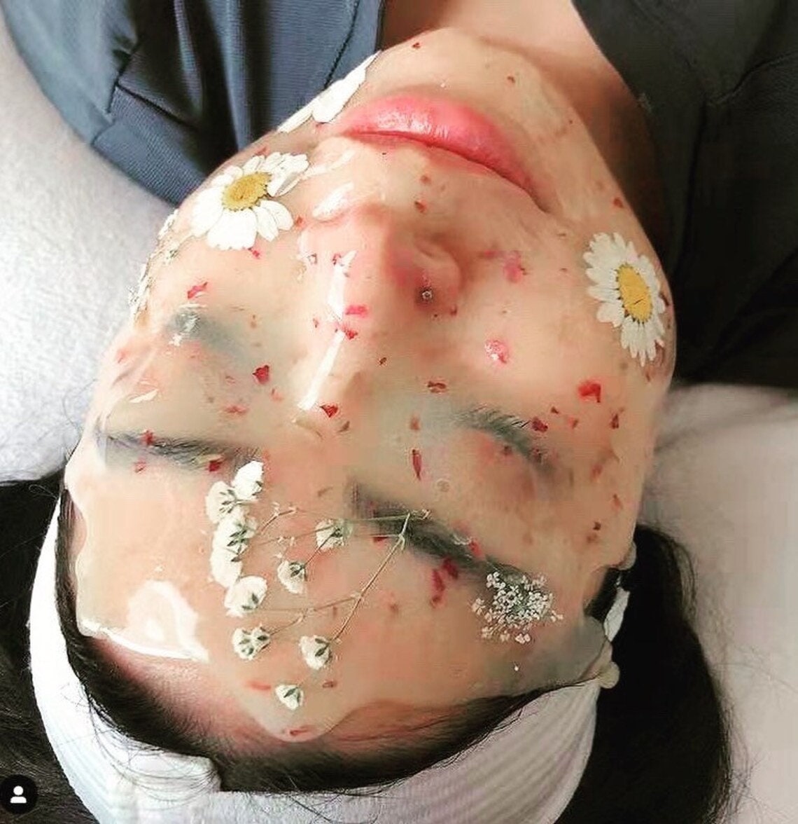 ハイドロジェリーマスク☆BULGARIAN ROSE 300g ハイドロジェリーマスク ローズヒップホップ-エステ化粧品の卸