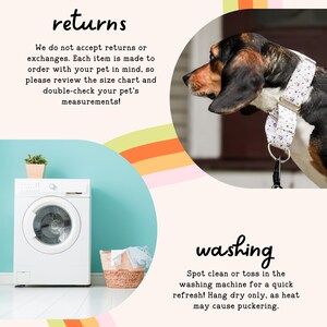 The image is a collage of two photos. The top photo shows a dog wearing a collar, and the bottom photo shows a washing machine and a basket of laundry.