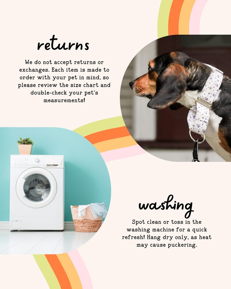 The image is a collage of two photos. The top photo shows a dog wearing a collar, and the bottom photo shows a washing machine and a basket of laundry.