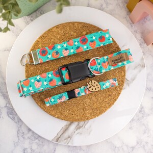 Berry Fresh | Strawberry Dog Collar, Teal Summer Cat Collar, Breakaway Cat Collar, Custom Martingale Collar, Matching Key Fob Wristlet