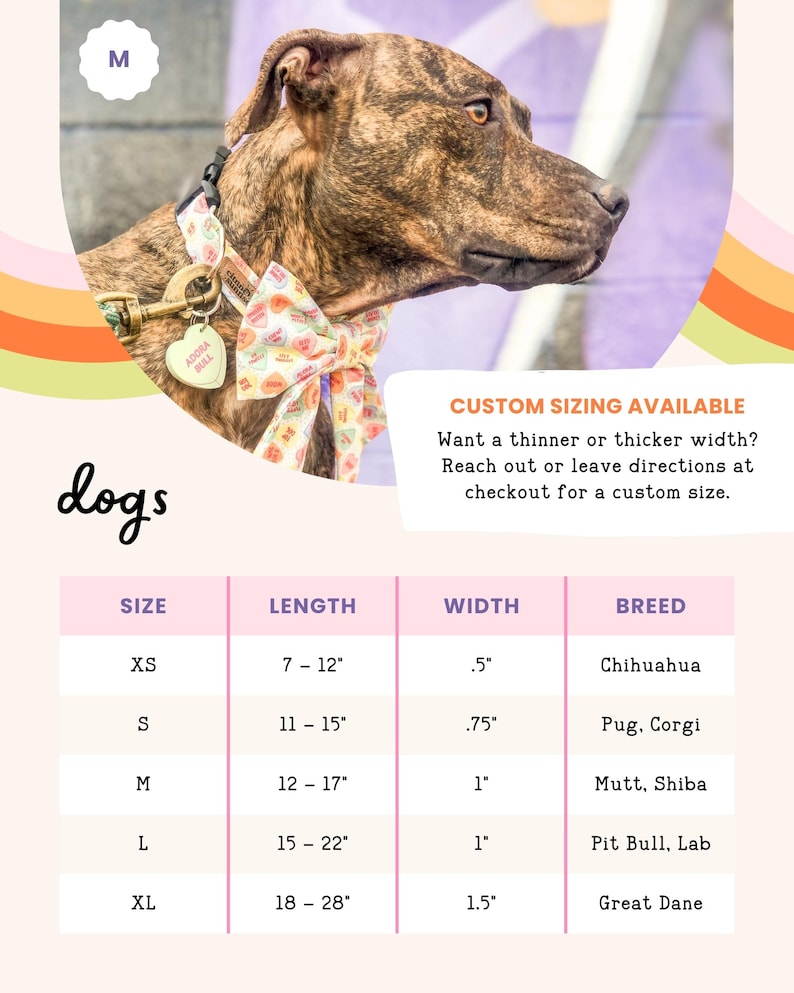 a brown dog wearing a colorful collar and leash, with a price list below it.