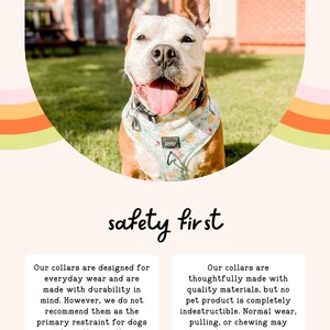 A happy dog wearing a colorful bandana collar is sitting on a grassy lawn, with a safety first slogan above the image.