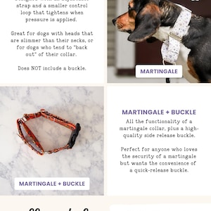The image is a collage of four images, each depicting a different style of martingale collar for dogs. The collage includes a close-up of a martingale collar, a close-up of a martingale collar with a buckle, a close-up of a martingale collar with a strap, and a close-up of a martingale collar with a buckle.