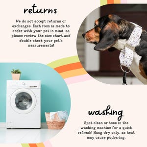The image is a collage of two photos. The top photo shows a dog wearing a collar, and the bottom photo shows a washing machine and a basket of laundry.