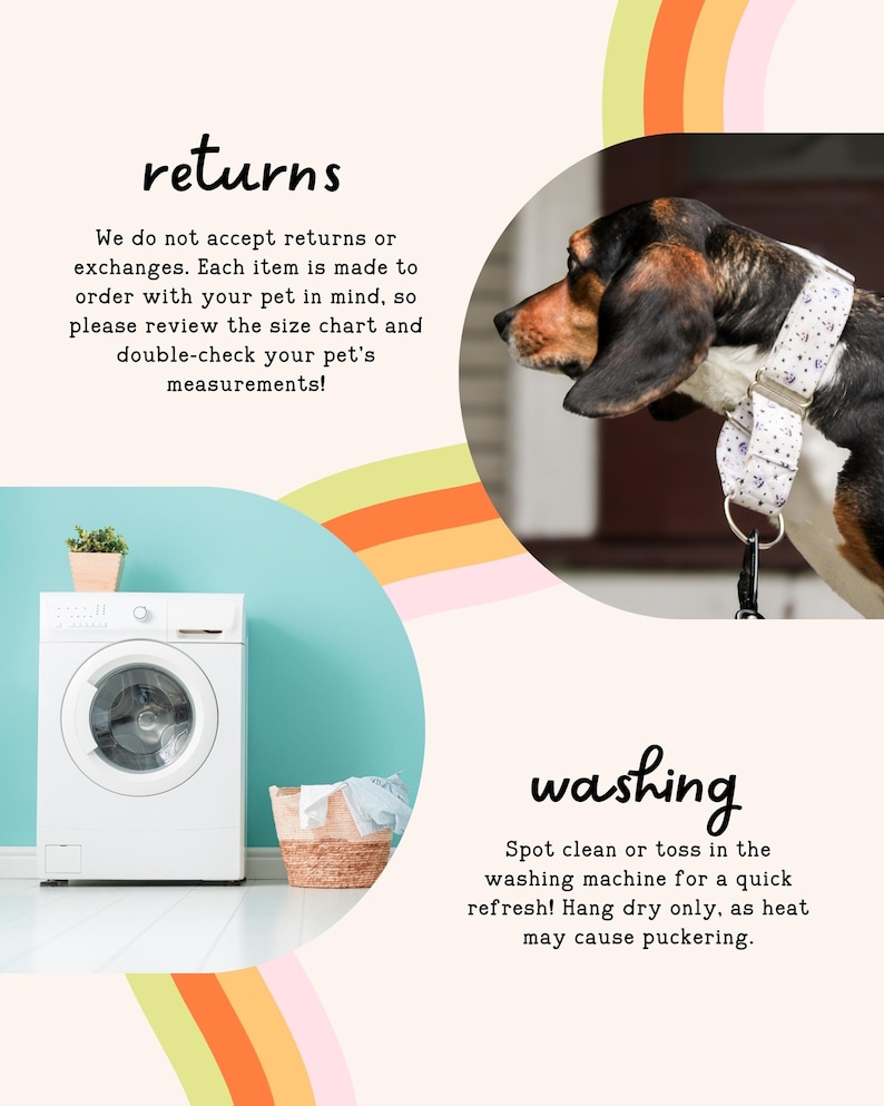 The image is a collage of two photos. The top photo shows a dog wearing a collar, and the bottom photo shows a washing machine and a basket of laundry.