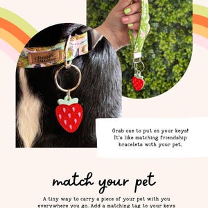 A person's hand holding a keychain with a red strawberry-shaped charm, and a close-up of a dog's collar with a matching strawberry-shaped charm.