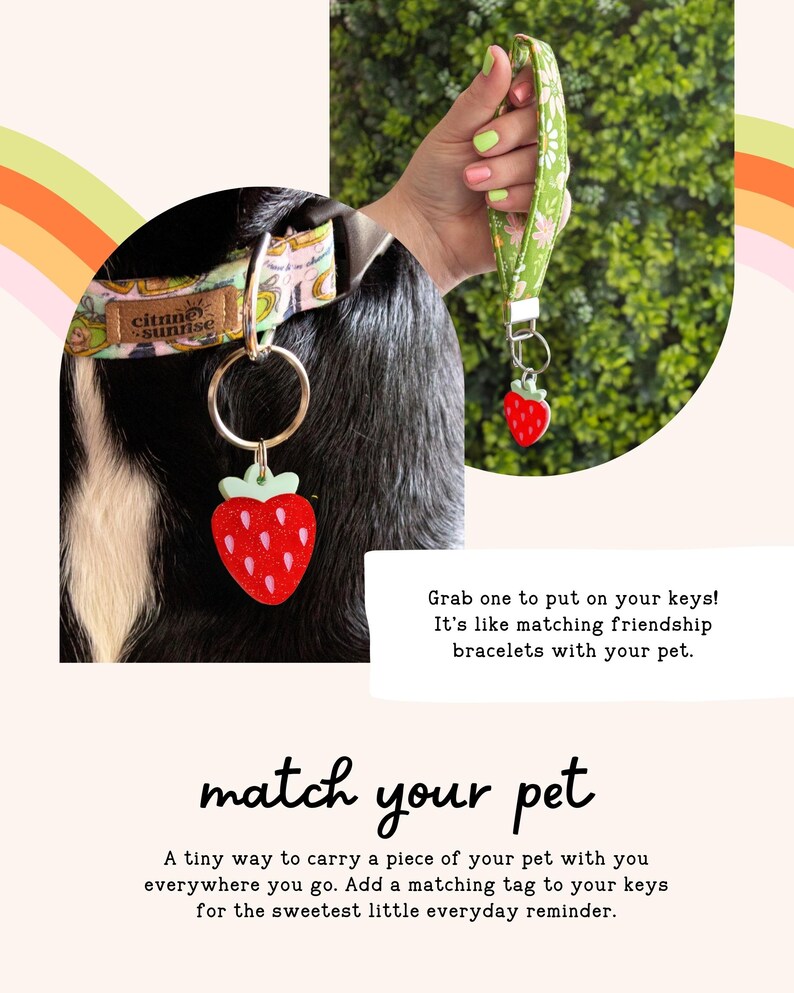 A person's hand holding a keychain with a red strawberry-shaped charm, and a close-up of a dog's collar with a matching strawberry-shaped charm.