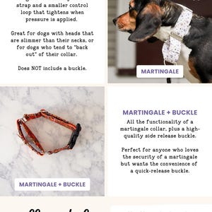 The image is a collage of four images, each depicting a different style of martingale collar for dogs. The collage includes a close-up of a martingale collar, a close-up of a martingale collar with a buckle, a close-up of a martingale collar with a strap, and a close-up of a martingale collar with a buckle.