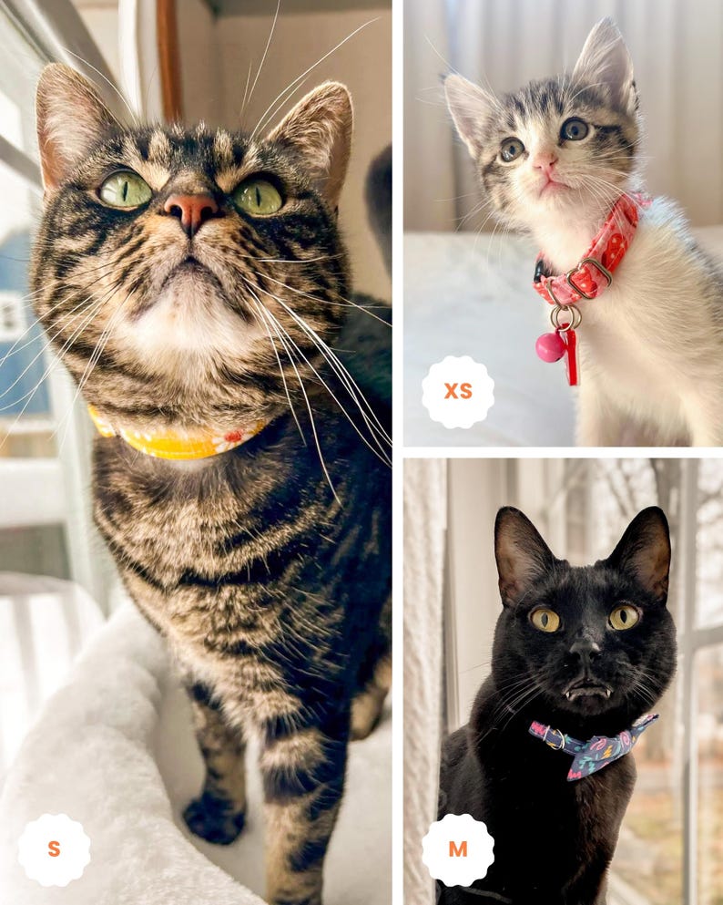 May include: Three cats wearing patterned collars in sizes XS, S, and M. The XS collar is red with a bell, the S collar is yellow with a floral print, and the M collar is dark blue with a bow tie. Each collar is labeled with its size.