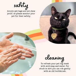 The image is a collage of three images: a hand washing a pet tag, a black cat with a heart-shaped tag, and a black cat with a green collar. The text provides safety tips for pet owners, including the importance of not chewing on pet tags and the need to clean and refresh pet tag washes.