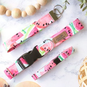 Watermelon Sugar | Watercolor Food Dog Collar, Fun Bold Breakaway Cat Collar, Girl Handmade Pet Collar, Match Your Dog, Key Fob Wristlet