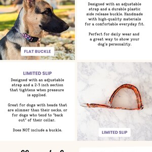 The image is a collage of two images, one showing a dog wearing a flat buckle collar and the other showing a limited slip collar style.
