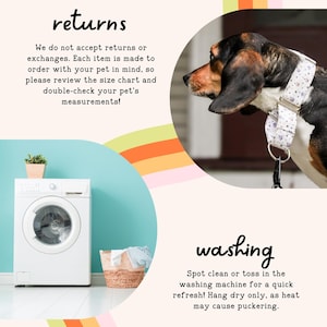 The image is a collage of two photos. The top photo shows a dog wearing a collar, and the bottom photo shows a washing machine and a basket of laundry.
