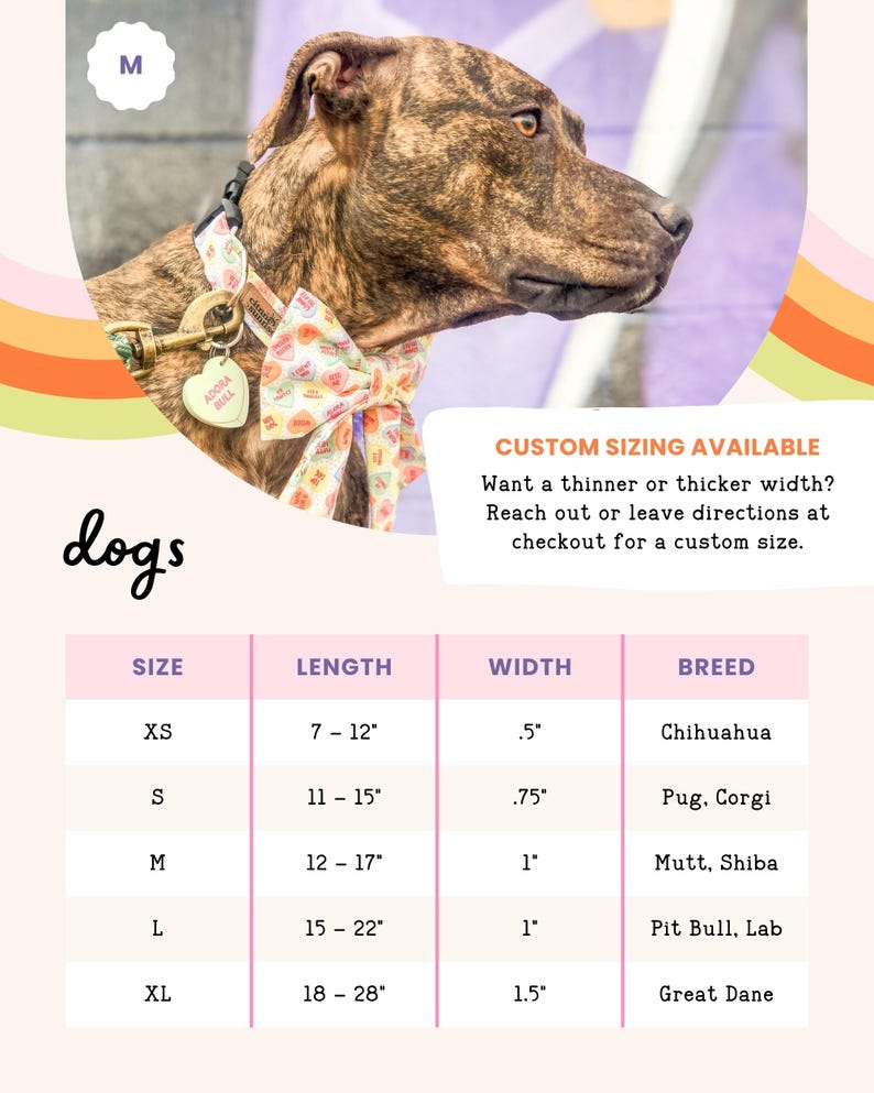 a brown dog wearing a colorful collar and leash, with a price list below it.