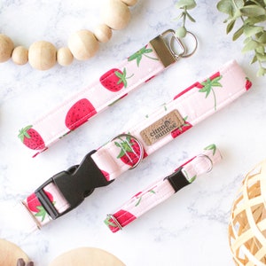Strawberry Delight | Strawberry Dog Collar, Blush Pink Breakaway Cat Collar, Blush Pink Girl Dog Collar, Summer Key Fob Wristlet, Dog Charm