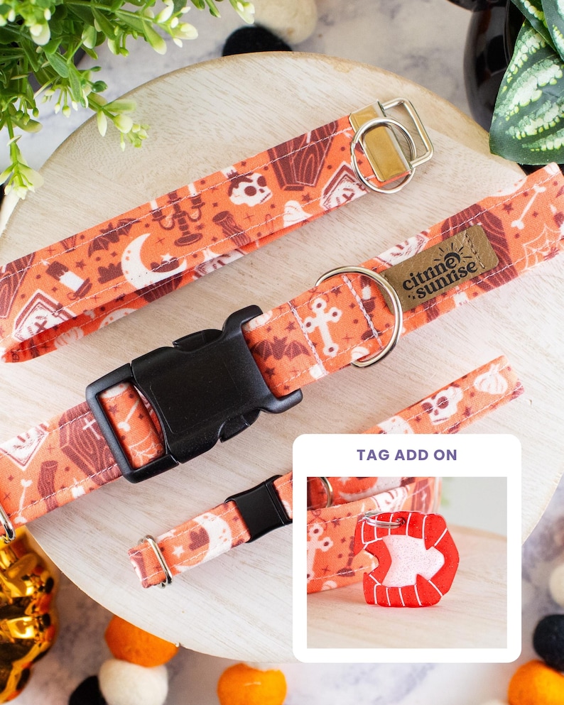 May include: An orange pet collar featuring a repeating pattern of skulls, coffins, bats, moons, and candles. The collar has a black plastic buckle, a silver metal D-ring, and a brown leather tag labelled Citrine Sunrise. Includes a red vampire teeth tag.