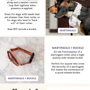 The image is a collage of four images, each depicting a different style of martingale collar for dogs. The collage includes a close-up of a martingale collar, a close-up of a martingale collar with a buckle, a close-up of a martingale collar with a strap, and a close-up of a martingale collar with a buckle.