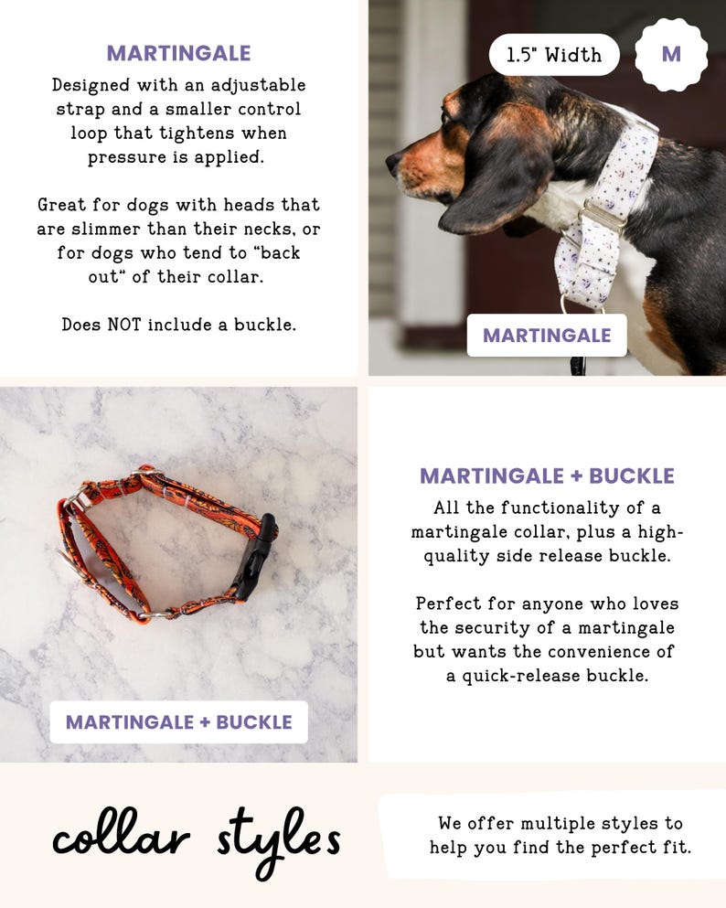 The image is a collage of four images, each depicting a different style of martingale collar for dogs. The collage includes a close-up of a martingale collar, a close-up of a martingale collar with a buckle, a close-up of a martingale collar with a strap, and a close-up of a martingale collar with a buckle.
