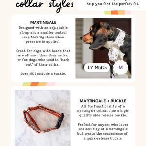 May include: An informational graphic titled collar styles displaying two dog collar types. One section shows a floral martingale collar on a dog with a 1.5 inch width label. The other section shows an orange patterned martingale collar with a side release buckle.