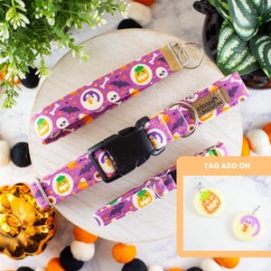 Creepy Cookie | Halloween Dog Collar, Sugar Cookie Cat Collar, Breakaway Cat Collar, Martingale Collar, Key Wristlet, Halloween Pet Tag