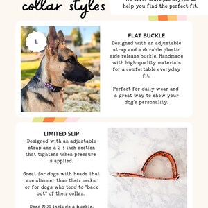 May include: An informational graphic titled collar styles displaying two options. The first shows a German Shepherd wearing a purple patterned flat buckle collar. The second shows an orange patterned limited slip collar without a buckle.